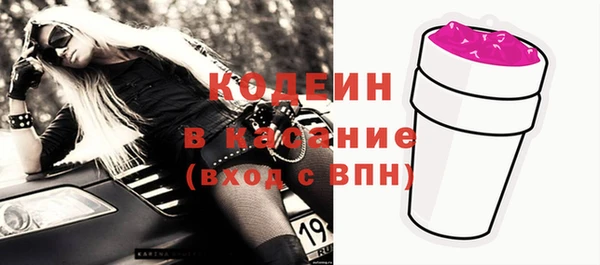 прущие грибы Алзамай