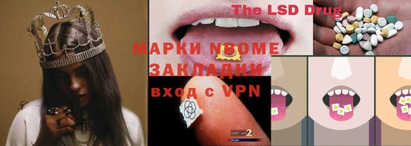 прущие грибы Алзамай