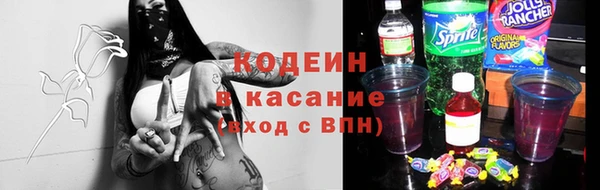 прущие грибы Алзамай