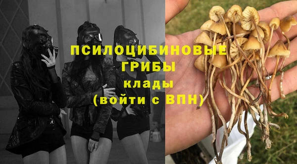 шишки Алексин