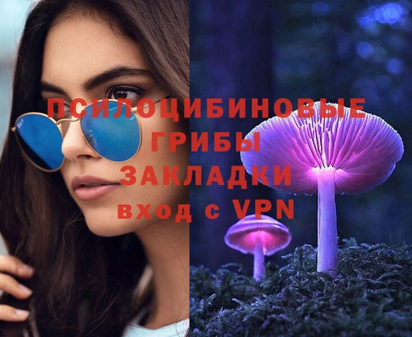 шишки Алексин