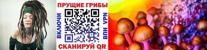 ссылка на мегу ссылки  Полысаево  Псилоцибиновые грибы Cubensis  купить закладку 