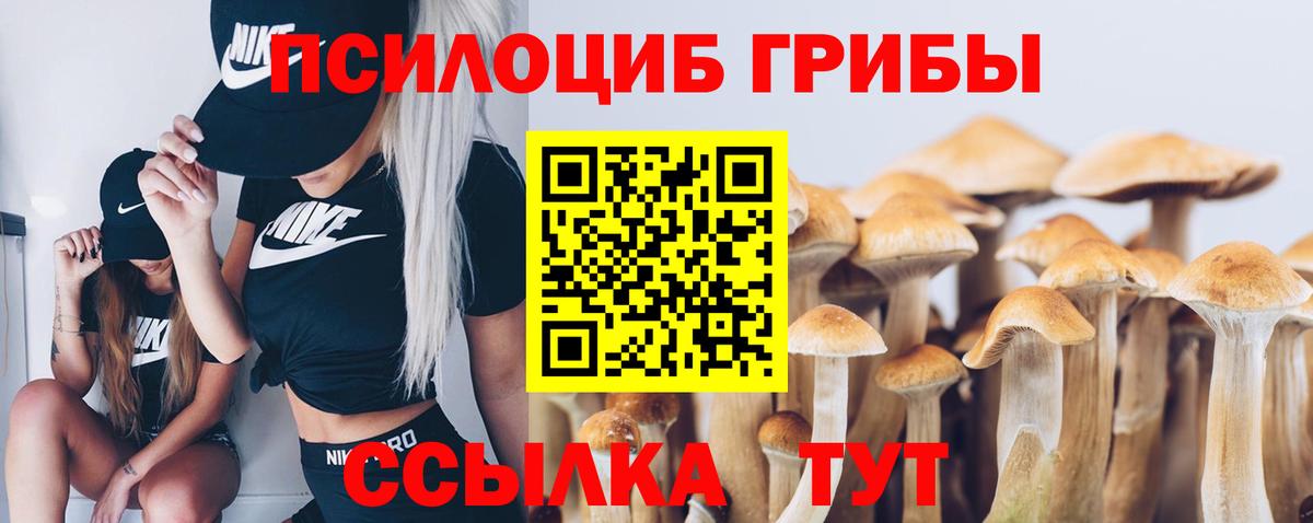 Полысаево  продажа наркотиков  Вход с VPN  Псилоцибиновые грибы мицелий 