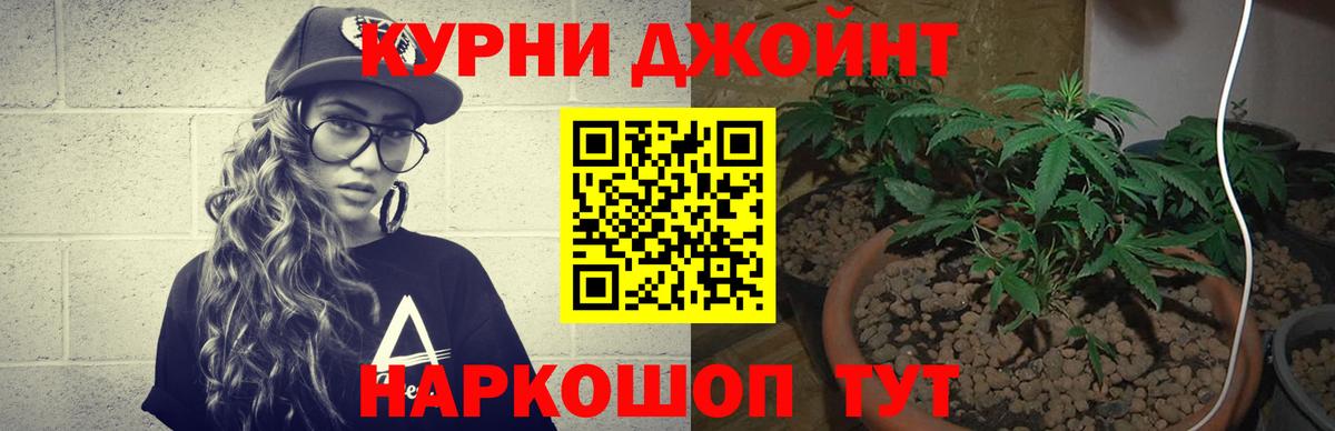 Конопля план Полысаево